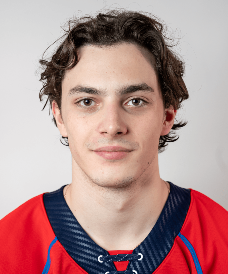 Springfield Thunderbirds Dalibor Dvorsky